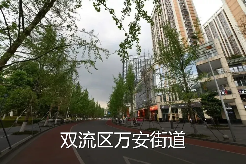 双流区万安街道