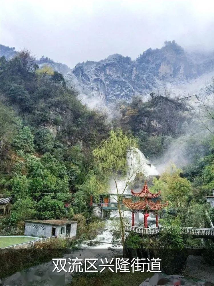 双流区兴隆街道