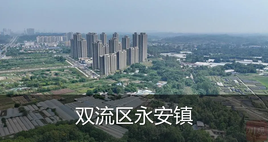 双流区永安镇