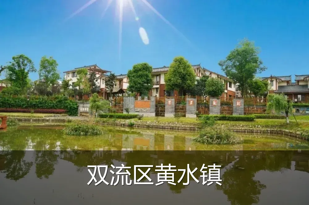 双流区黄水镇
