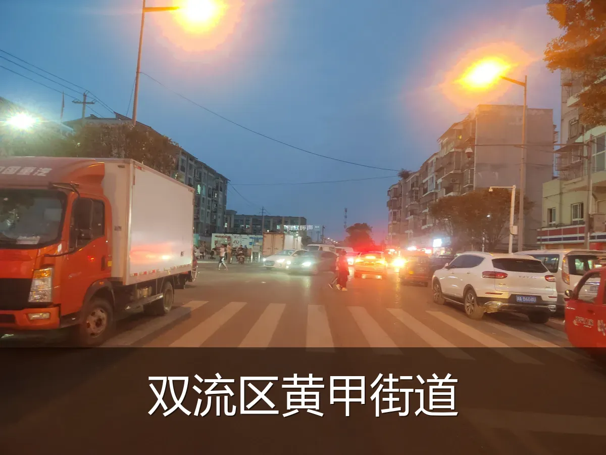 双流区黄甲街道